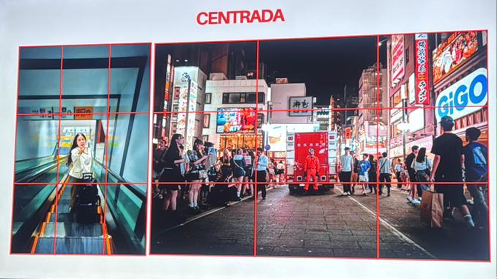 GUIA PARA SOBREVIVIR 